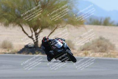 media/May-12-2024-SoCal Trackdays (Sun) [[ad755dc1f9]]/10-Turn 4 Tree of Life (1120am)/